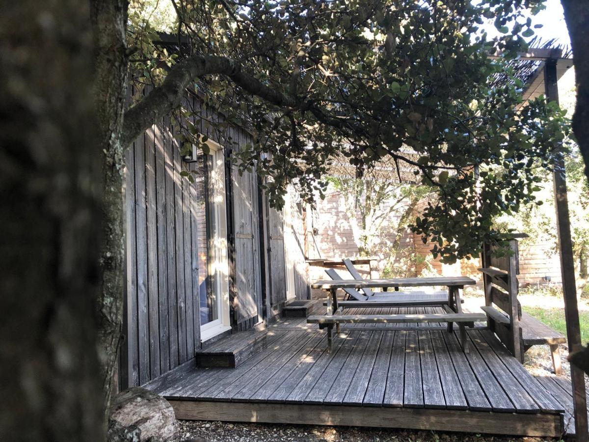 En Provence - Ecogites & Restaurant Insolites